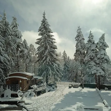 Campsite Coccinelle Domaine De La Mamounette Champclause