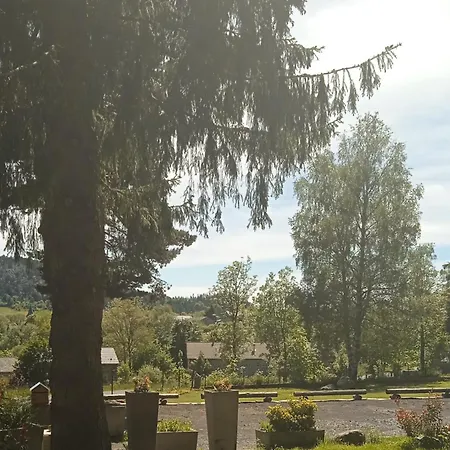 Coccinelle Domaine De La Mamounette * Champclause